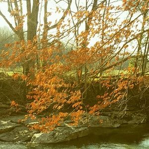 Meet your Posher, Candy